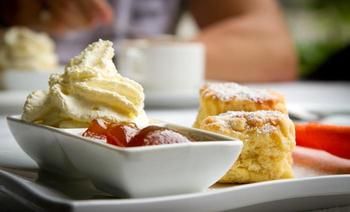 Riverwood Downs Mountain Valley Resort - Accommodation Gold Coast 1