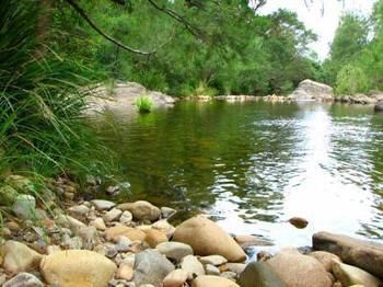 Riverwood Downs Mountain Valley Resort - Accommodation Gold Coast 9