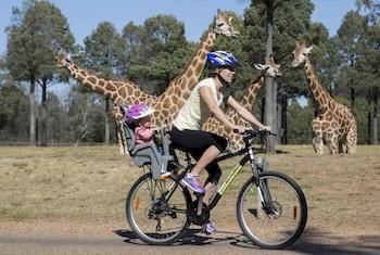 Zoofari Lodge, Taronga Western Plains Zoo - Accommodation Gold Coast 7