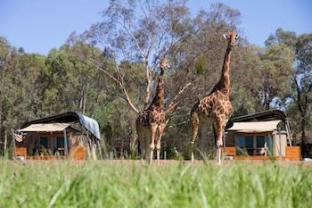 Zoofari Lodge, Taronga Western Plains Zoo - Accommodation Gold Coast 13