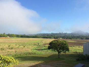 Eumundi Gridley Homestead B&B - Gold Coast 4U 6