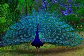 Ferndale - Accommodation Gold Coast 7