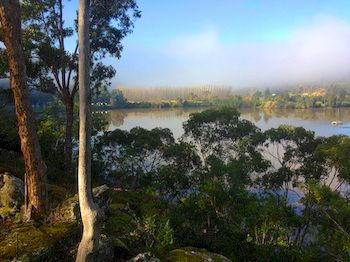 Ferndale - Accommodation Gold Coast 9