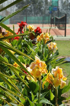 Morpeth Lodge Motel - Accommodation Gold Coast 11