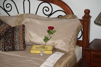 Kingfishers Manor @ Noosa - Accommodation Gold Coast 16