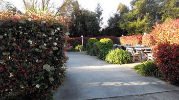 Branxton House Motel, Hunter Valley - Accommodation Gold Coast 13