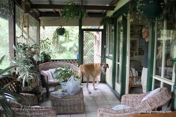 Hamilton Heritage B&B - Accommodation Gold Coast 2