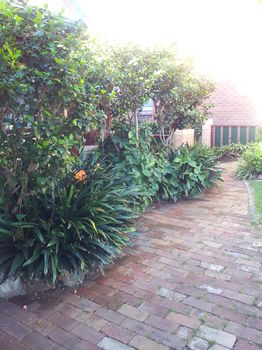 Hamilton Heritage B&B - Accommodation Gold Coast 14