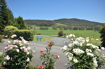 Langbrook Estate Cottages - Accommodation Gold Coast 15