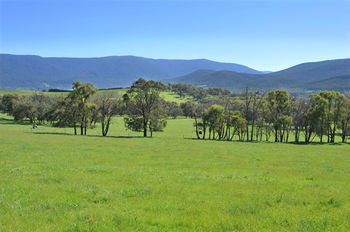 Langbrook Estate Cottages - Accommodation Gold Coast 16