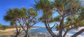 Alex Beach Cabins - Accommodation Gold Coast 1