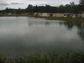 Australian Motor Homes Tourist Park - Accommodation Gold Coast 3