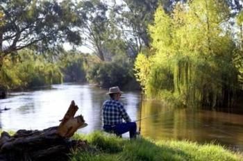 Riverglade Caravan Park - Accommodation Gold Coast 1