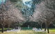 The Convent Hunter Valley - thumb 18