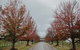 The Convent Hunter Valley - thumb 49