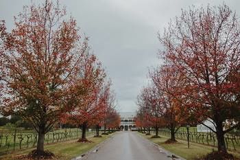 The Convent Hunter Valley - Accommodation Gold Coast 49