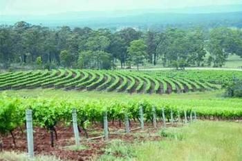 Hunter Hideaway Cottages - Accommodation Gold Coast 3