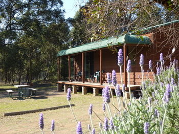 Hunter Hideaway Cottages - Accommodation Gold Coast 4