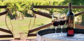 Wild Cattle Creek Estate - Accommodation Gold Coast 10