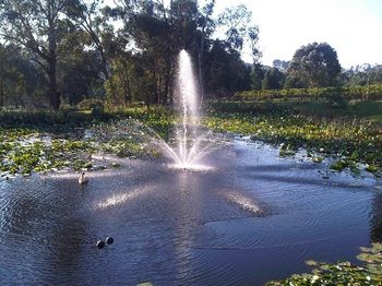 Wild Cattle Creek Estate - Accommodation Gold Coast 14