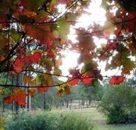 Elfin Hill Country Accommodation - Accommodation Gold Coast