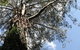 Merrow Cottages - thumb 57
