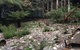 Merrow Cottages - thumb 58