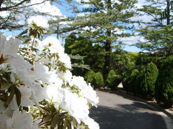 Tantarra Bed And Breakfast - Accommodation Gold Coast 15