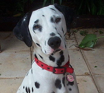 Tantarra Bed And Breakfast - Accommodation Gold Coast 17