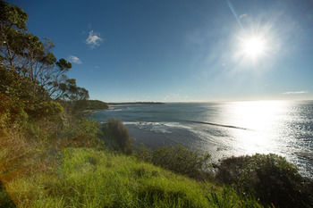 Birchgrove Apartments - Accommodation Gold Coast 17