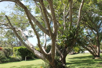 Buderim Fiesta Motel - Accommodation Gold Coast 19