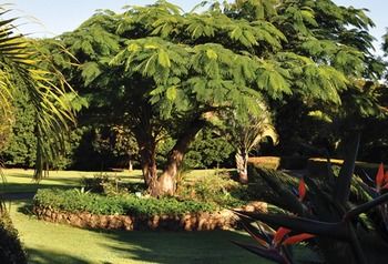 Peppertree Cottage - Accommodation Gold Coast 10