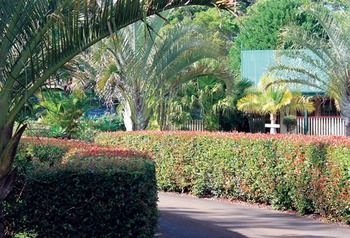 Peppertree Cottage - Accommodation Gold Coast 21