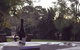 Peppertree Cottage - thumb 23