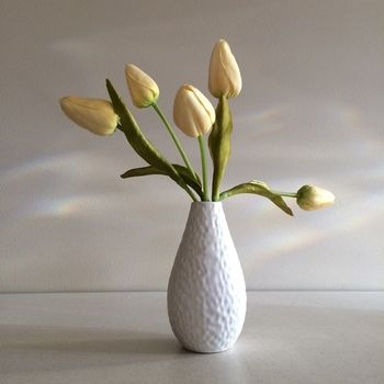 Chaucer Palms Boutique Bed & Breakfast - Accommodation Gold Coast 7