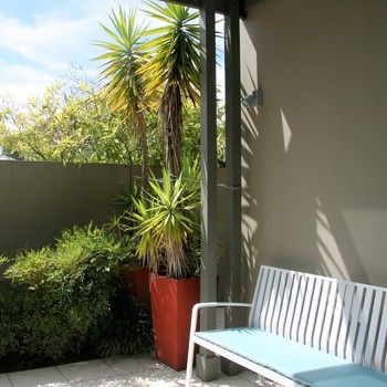 Chaucer Palms Boutique Bed & Breakfast - Accommodation Gold Coast 26