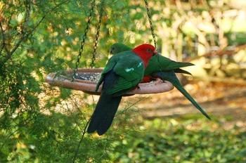 Glenview Retreat Luxury Bed & Breakfast - Accommodation Gold Coast 12