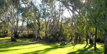 Tooleybuc Motel - Accommodation Gold Coast 5