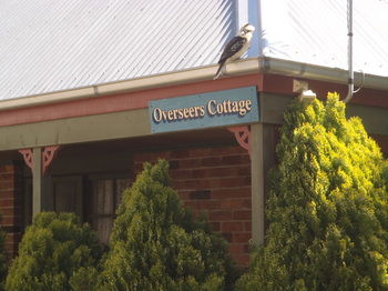 Woollamia Village Retreat - Gold Coast 4U 58