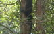 Woollamia Village Retreat - thumb 59