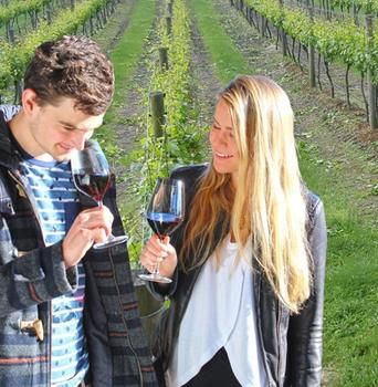 Valley Farm Vineyard Cottages - Accommodation Gold Coast 0