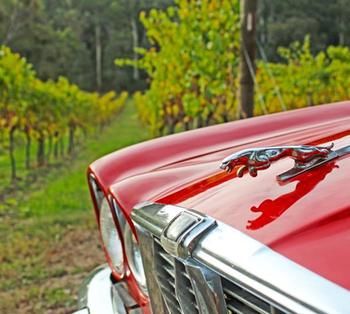 Valley Farm Vineyard Cottages - Accommodation Gold Coast 1