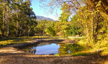 Valley Farm Vineyard Cottages - Accommodation Gold Coast 3