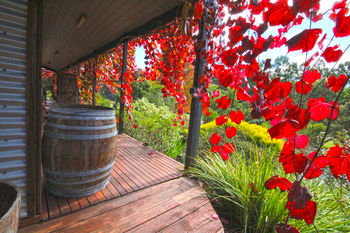 Valley Farm Vineyard Cottages - Accommodation Gold Coast 5