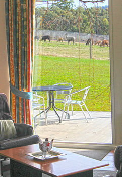 Valley Farm Vineyard Cottages - Accommodation Gold Coast 9