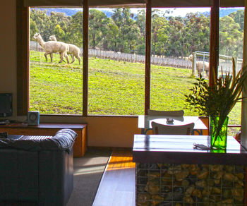Valley Farm Vineyard Cottages - Accommodation Gold Coast 17