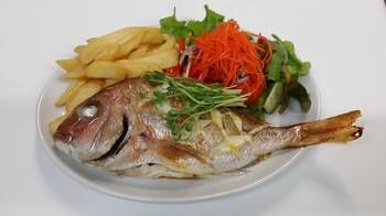 Best Western Endeavour Motel - Accommodation Gold Coast 3