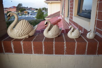 Meurants Manor Bed And Breakfast - Accommodation Gold Coast 15