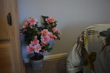 Meurants Manor Bed And Breakfast - Accommodation Gold Coast 42