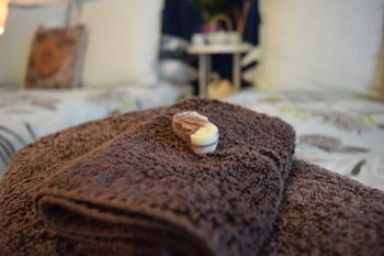 Meurants Manor Bed And Breakfast - Accommodation Gold Coast 52